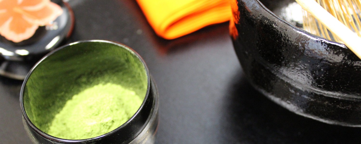 Experience the healing power of beauty
